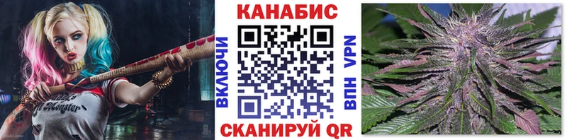 Купить закладки  Пойковский  Бошки марихуана планчик 